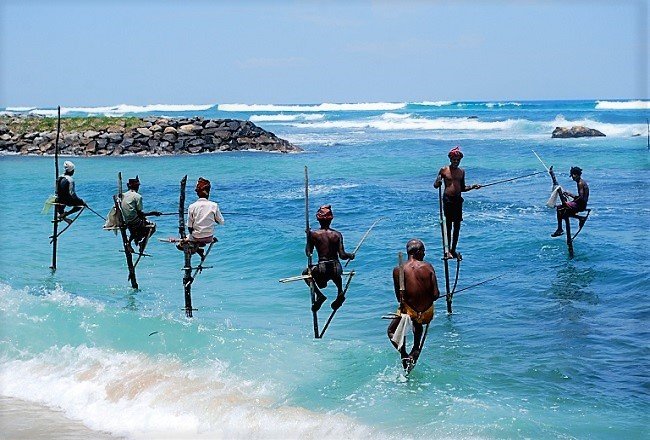 Koggala-Stilt-Fisherman