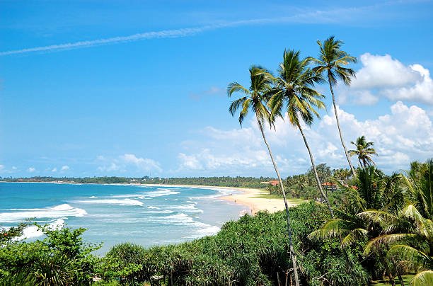 Beach, palms and turquoise water of Indian Ocean, Bentota, Sri Lanka