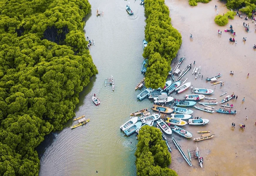 negombo-lagoon-in-sri-lanka